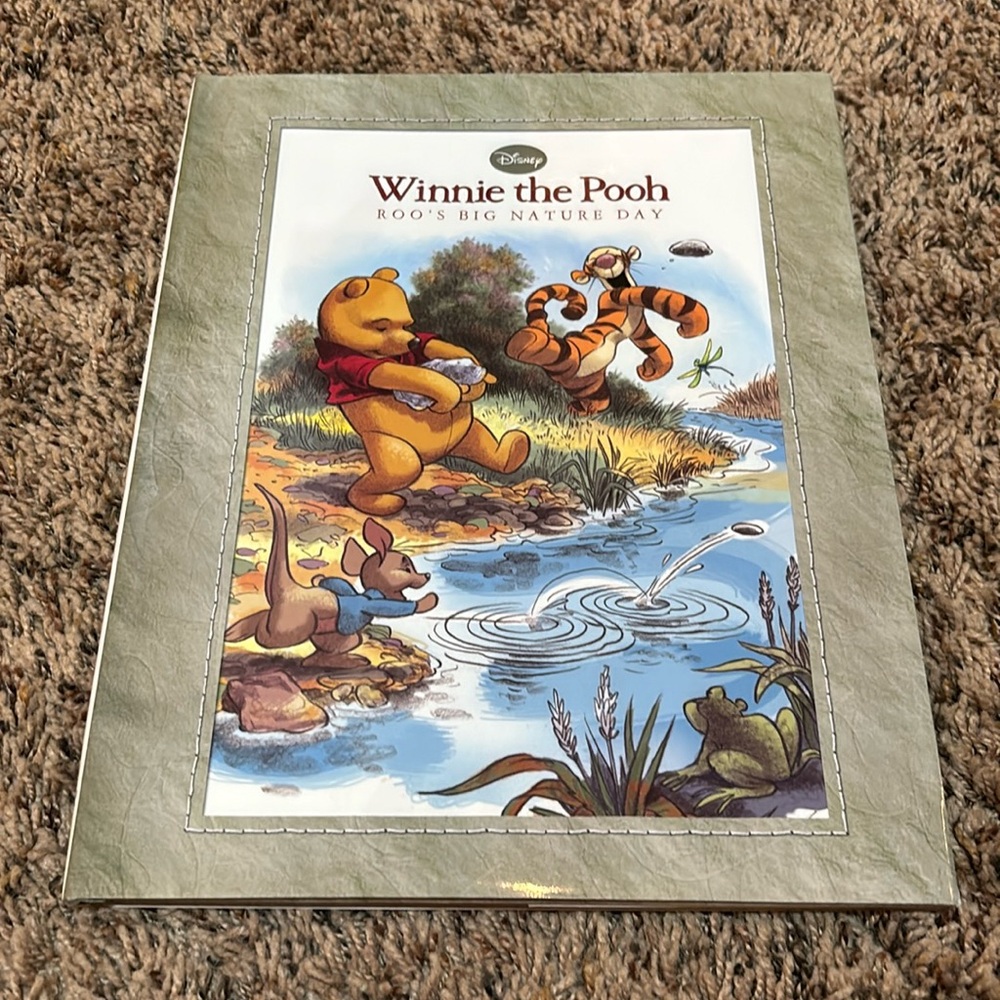 Winnie the Pooh 2010 Hardback Story Book Roo Big Nature Day Disney Kids LIKE NEW